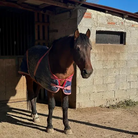 Ca 'franzo * Palazzetto