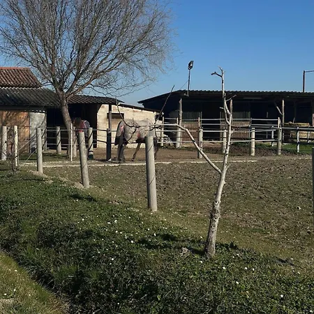 公寓 Ca 'franzo Palazzetto